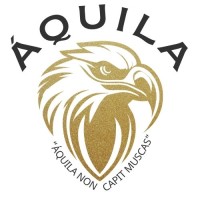 Aquila Assessoria Financeira logo - Similar company to Nicoletti Company