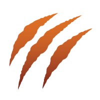 Tiger Softwares logo - Similar company to Blare Technologies