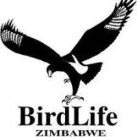 BirdLife Zimbabwe logo - Similar company to The Conservation Conversation