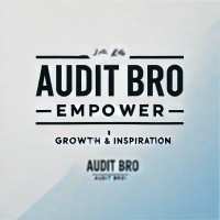 Audit Bro logo - Similar company to Visio Consulting