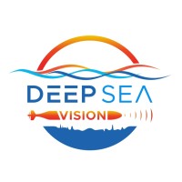 Deep Sea Vision logo - Similar company to Crewdogs