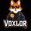 VOXLOR logo - Similar company to Chitralai
