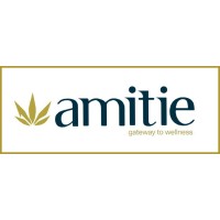 AMITIE logo - Similar company to Fdc Alumni Network
