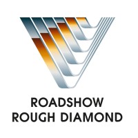 Roadshow Rough Diamond logo - Similar company to Sam Content