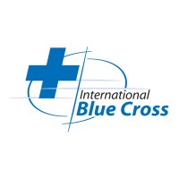 International Blue Cross logo - Similar company to Artifiche