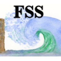 Fluid-Structure Systems logo - Similar company to Tagbeans Digital