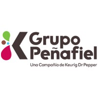 Grupo Peñafiel logo - Similar company to Decasa Del Centro