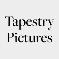 Tapestry Pictures Ltd logo - Similar company to Leverage Point Entertainment