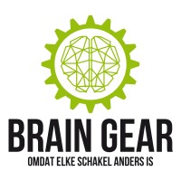 Braingear2024 logo - Similar company to Reconi