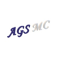 AGS Management Consulting logo - Similar company to Ags Consulting