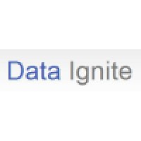Data Ignite Llc