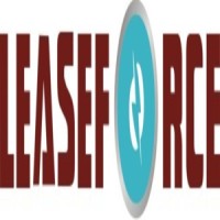 Leaseforce Professional Services