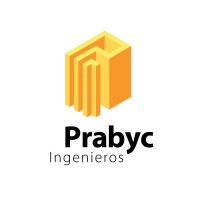 Prabyc Ingenieros logo - Similar company to Netion