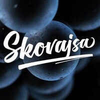 Víno Skovajsa logo - Similar company to Inštitút Martina Filka