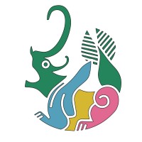 UI Film Festival 2024 logo - Similar company to Kinoclub