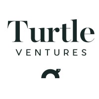 Turtle Ventures logo - Similar company to Vibe.Pl