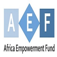 Africa Empowerment Fund logo - Similar company to Synda