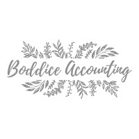 Boddice Accounting Ltd logo - Similar company to Ch Accounting Solutions Ltd