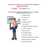 Experience Certificate for Job logo - Similar company to Level Up Dude