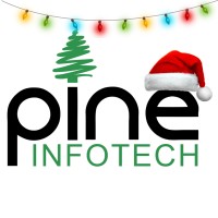 Pine Infotech logo - Similar company to Hindustan Foundation