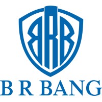 B R Bang Pvt. Ltd. logo - Similar company to Flavorade India