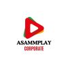ASAMMPLAY CORPORATE logo - Similar company to Chimera