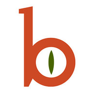 School of Being logo - Similar company to Ecofutures