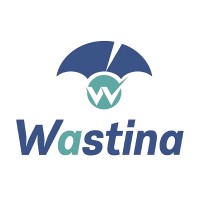 Wastina logo - Similar company to Cdiwork