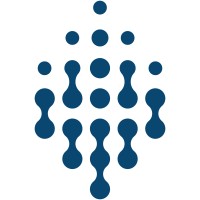 Deep Digital Solutions Group logo - Similar company to Réalta Technologies
