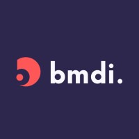 BMDI Software logo - Similar company to Bmdi
