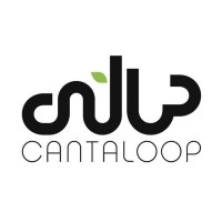 Cantaloop logo - Similar company to Pircel