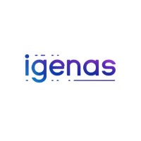 IGENAS logo - Similar company to Infinitus Engineering And Software Inc.