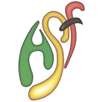 The Assin Foundation logo - Similar company to Coduco Gmbh