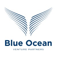Blue Ocean Venture Partners logo - Similar company to Panq
