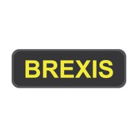 Brexis logo - Similar company to Elite Chicago Limo