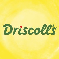 Driscoll's logo - Similar company to Hortifrut