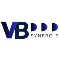 VB Synergie logo - Similar company to Kite And Go
