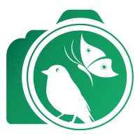 El Objetivo Verde