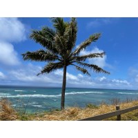 Molokai Christian Academy logo - Similar company to Sustainable Molokai