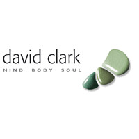 David Clark Shiatsu logo - Similar company to Mead Physio Group