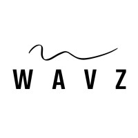 WAVZ logo - Similar company to Techtitans