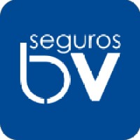 Barra Velha Seguros logo - Similar company to Fourtec Empilhadeiras