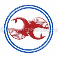 Ocean Food logo - Similar company to Agrosynapsis