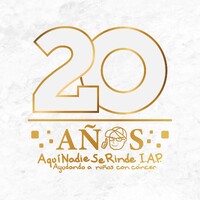 Aquí Nadie Se Rinde, I.A.P. (ANSeR) logo - Similar company to Dr. Sonrisas A.C.