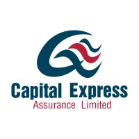 Capital Express Life Assurance Limited logo - Similar company to Zinari