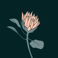 Flower’S Culture