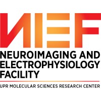 Neuroimaging and Electrophysiology Facility logo - Similar company to Buffalo Neuroimaging Analysis Center (Bnac)