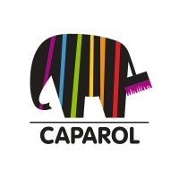 CAPAROL Moldova logo - Similar company to Xontech Systems