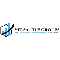 Versantus India logo - Similar company to Versantus - Transformative Digital Solutions