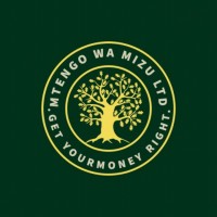 MTENGO wa MIZU LTD logo - Similar company to R Users Malawi